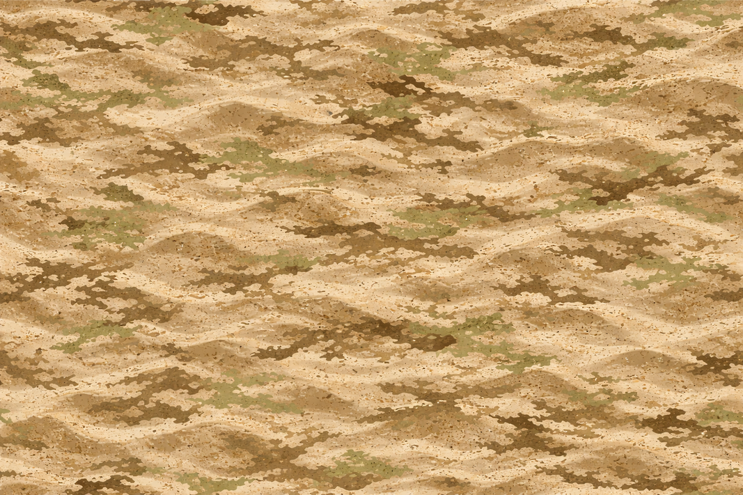 Desert & Brush Country