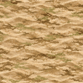 Desert & Brush Country