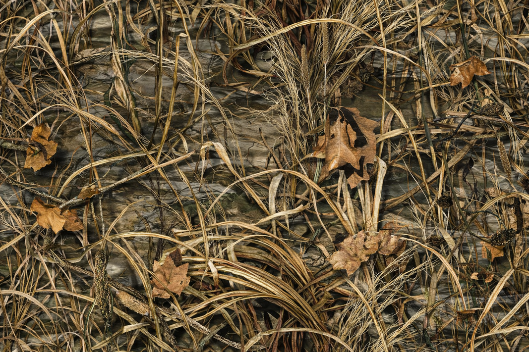 Marsh & Wetland