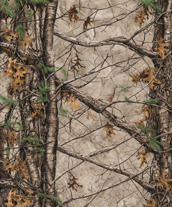 Forest & Hardwood
