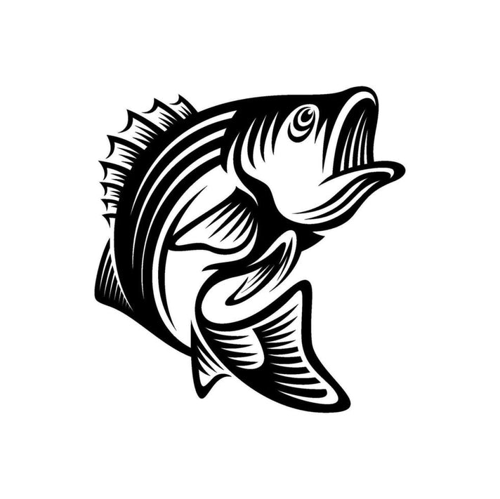 Freshwater Fishing New Arrivals