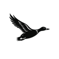Waterfowl