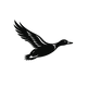 Waterfowl