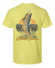 439.jpg
