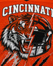 Personalized Name & Number Cincinnati Mascot Jersey Football