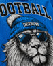 Personalized Name & Number Detroit Lion Jersey Football