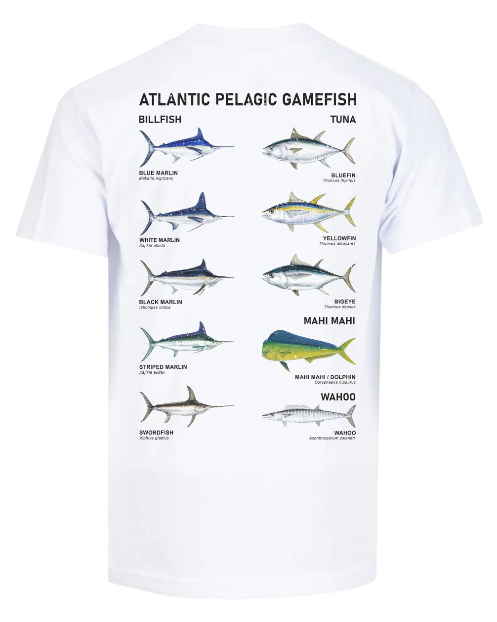 Atlantic Pelagic Gamefish T-shirt