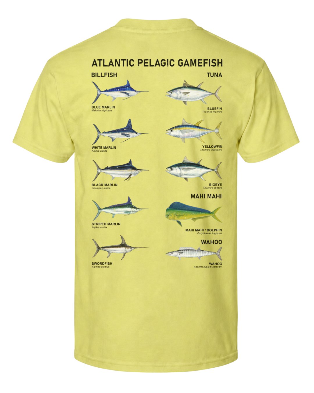 Atlantic Pelagic Gamefish T-shirt