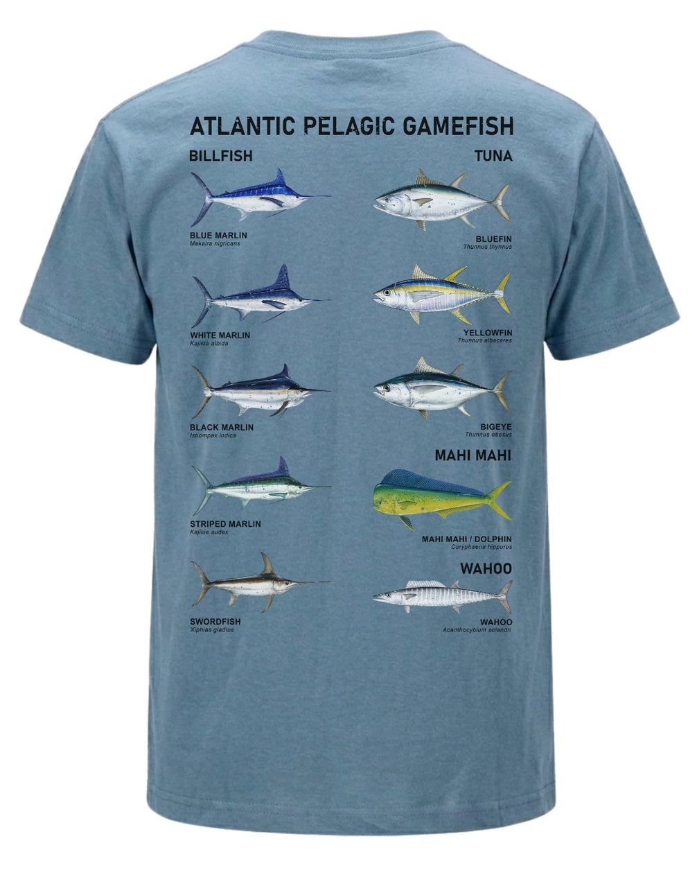 Atlantic Pelagic Gamefish T-shirt