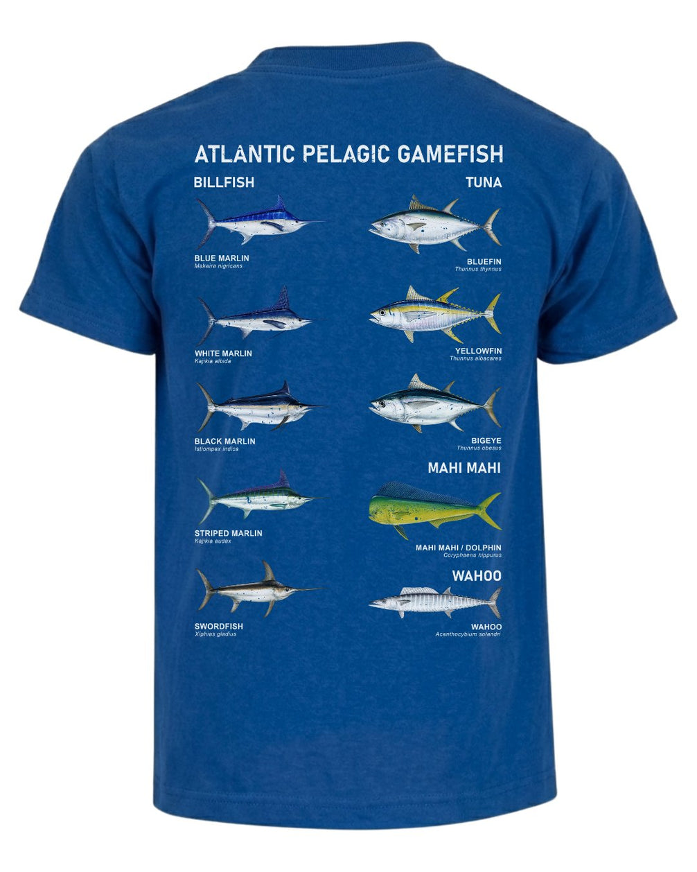 Atlantic Pelagic Gamefish T-shirt