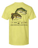 Bass Fishing Lures & Plugs T-shirt