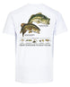 Bass Fishing Lures & Plugs T-shirt