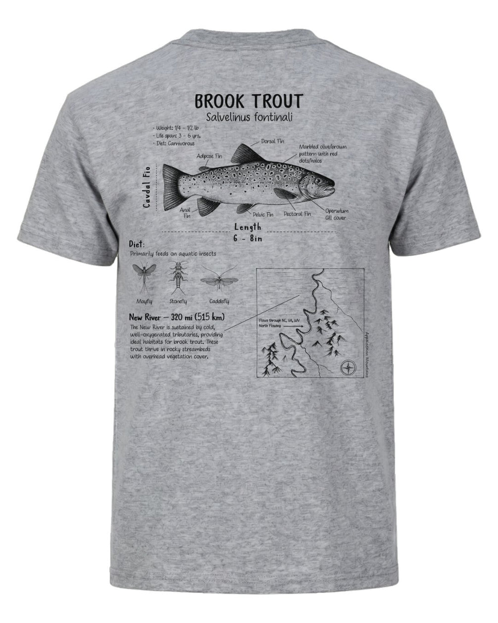 Brook Trout Anatomy Blueprint T-shirt