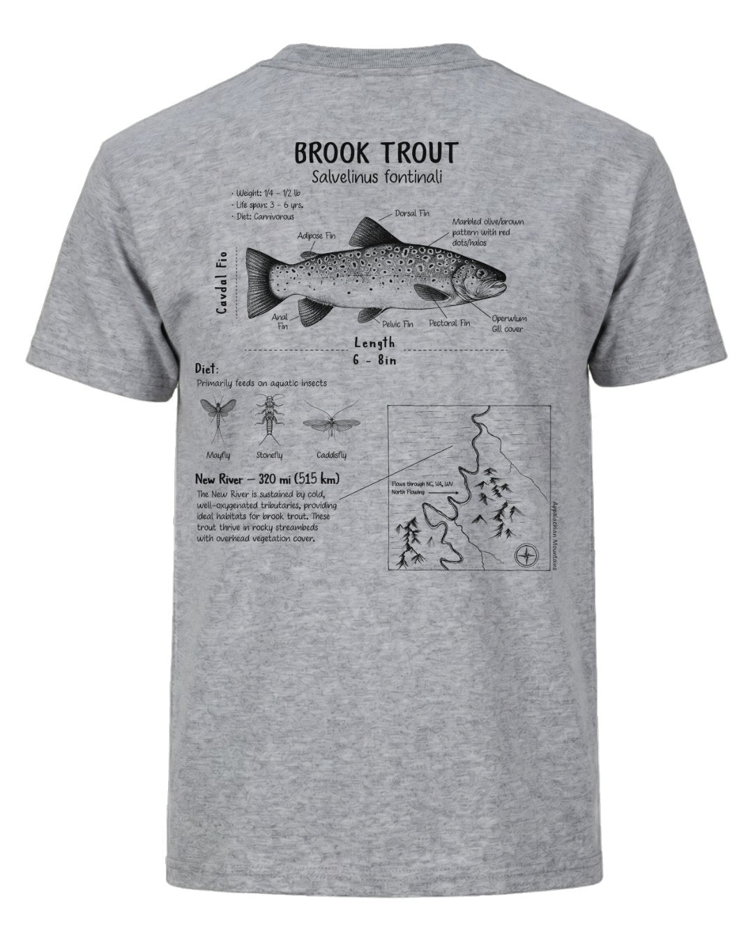 Brook Trout Anatomy Blueprint T-shirt
