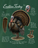 Eastern Turkey Hunting T-Shirt