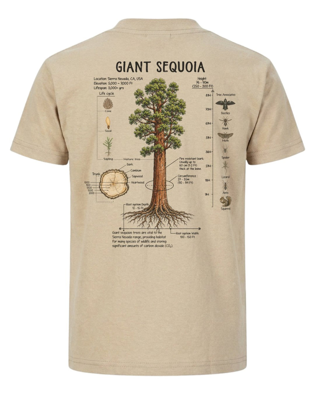 Giant Sequoia Botanical Diagram T-shirt