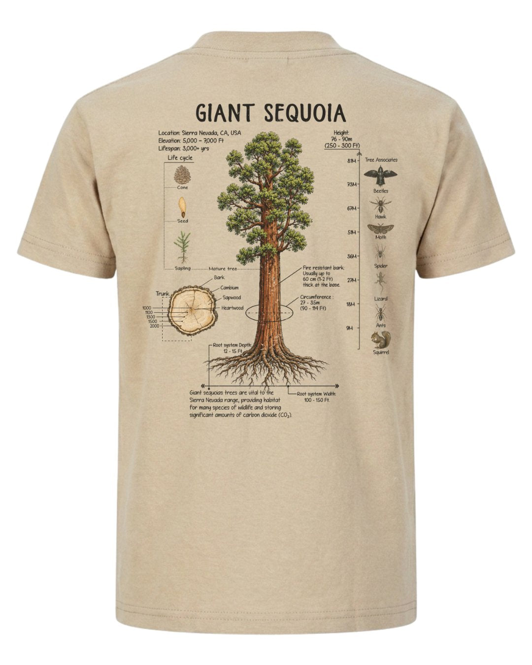 Giant Sequoia Botanical Diagram T-shirt