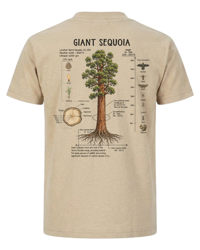 Giant Sequoia Botanical Diagram T-shirt