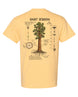 Giant Sequoia Botanical Diagram T-shirt
