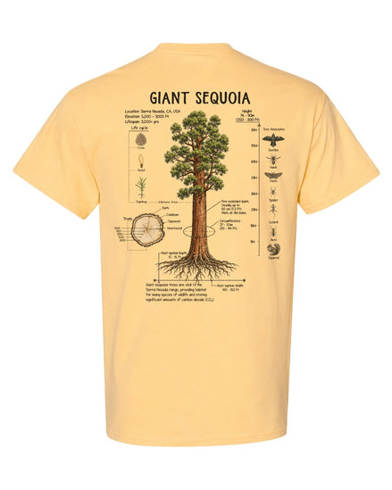 Giant Sequoia Botanical Diagram T-shirt