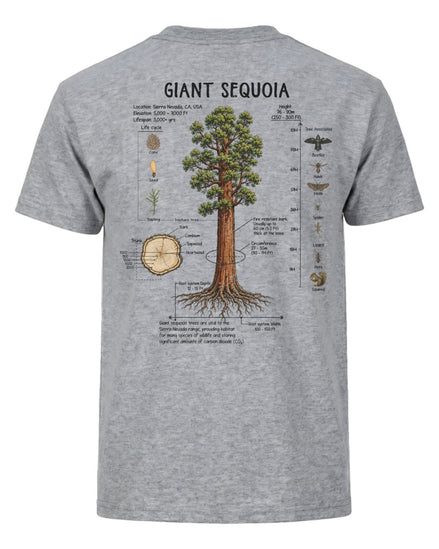 Giant Sequoia Botanical Diagram T-shirt