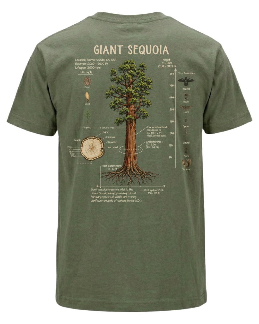 Giant Sequoia Botanical Diagram T-shirt