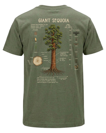 Giant Sequoia Botanical Diagram T-shirt