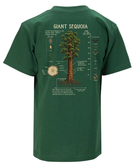 Giant Sequoia Botanical Diagram T-shirt