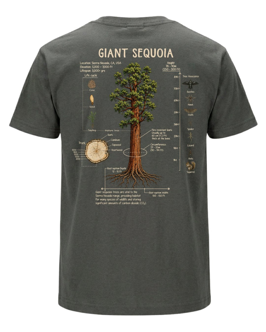 Giant Sequoia Botanical Diagram T-shirt