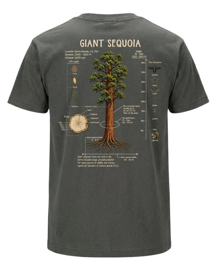 Giant Sequoia Botanical Diagram T-shirt