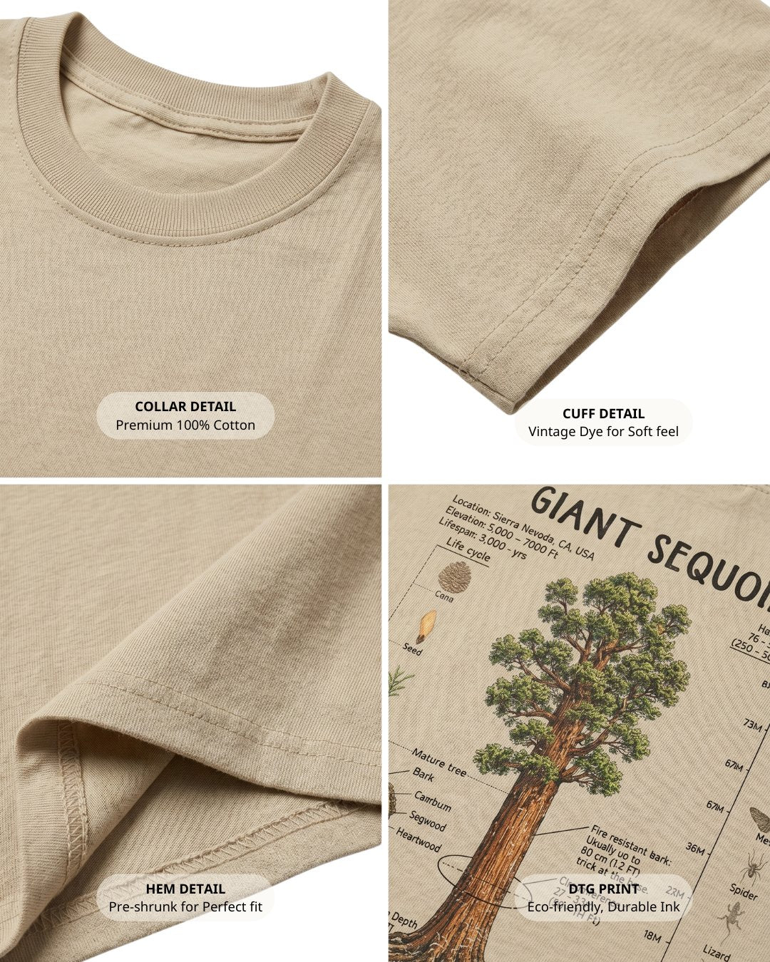 Giant Sequoia Botanical Diagram T-shirt