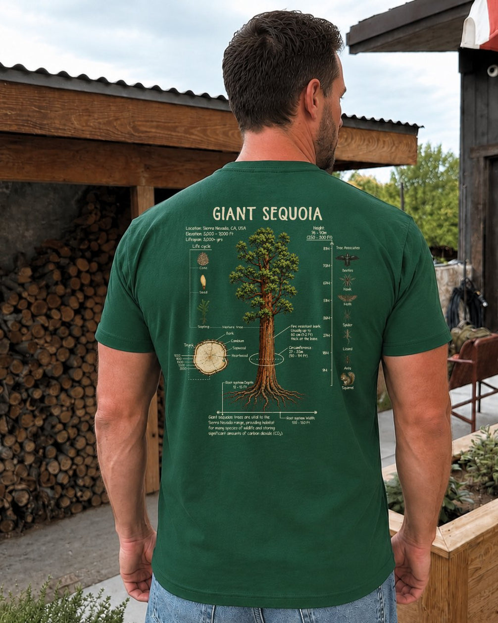 Giant Sequoia Botanical Diagram T-shirt