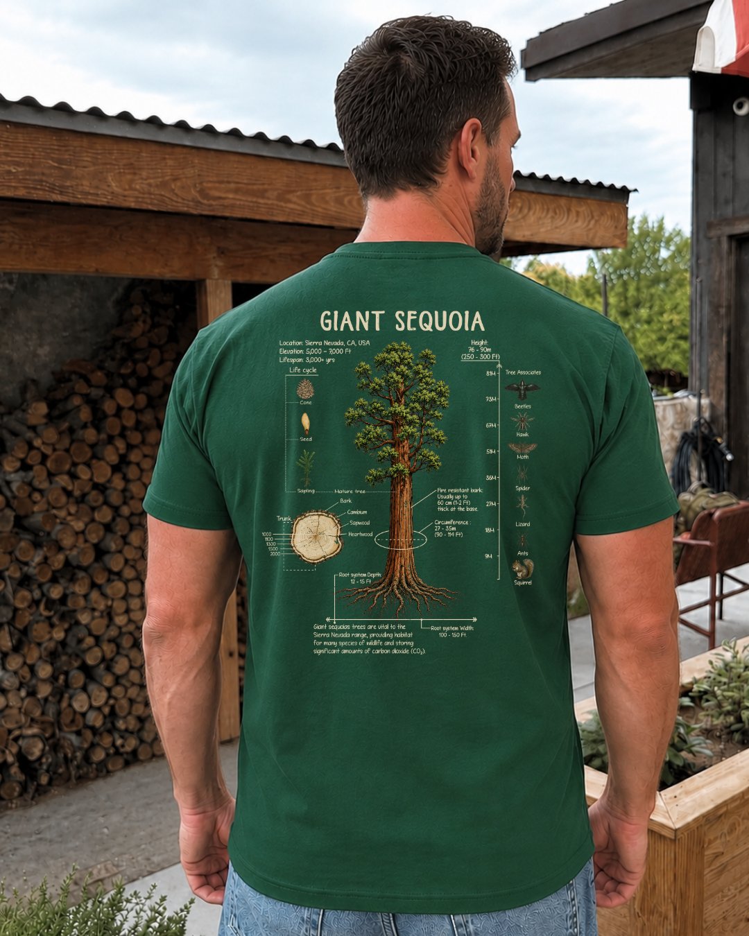 Giant Sequoia Botanical Diagram T-shirt