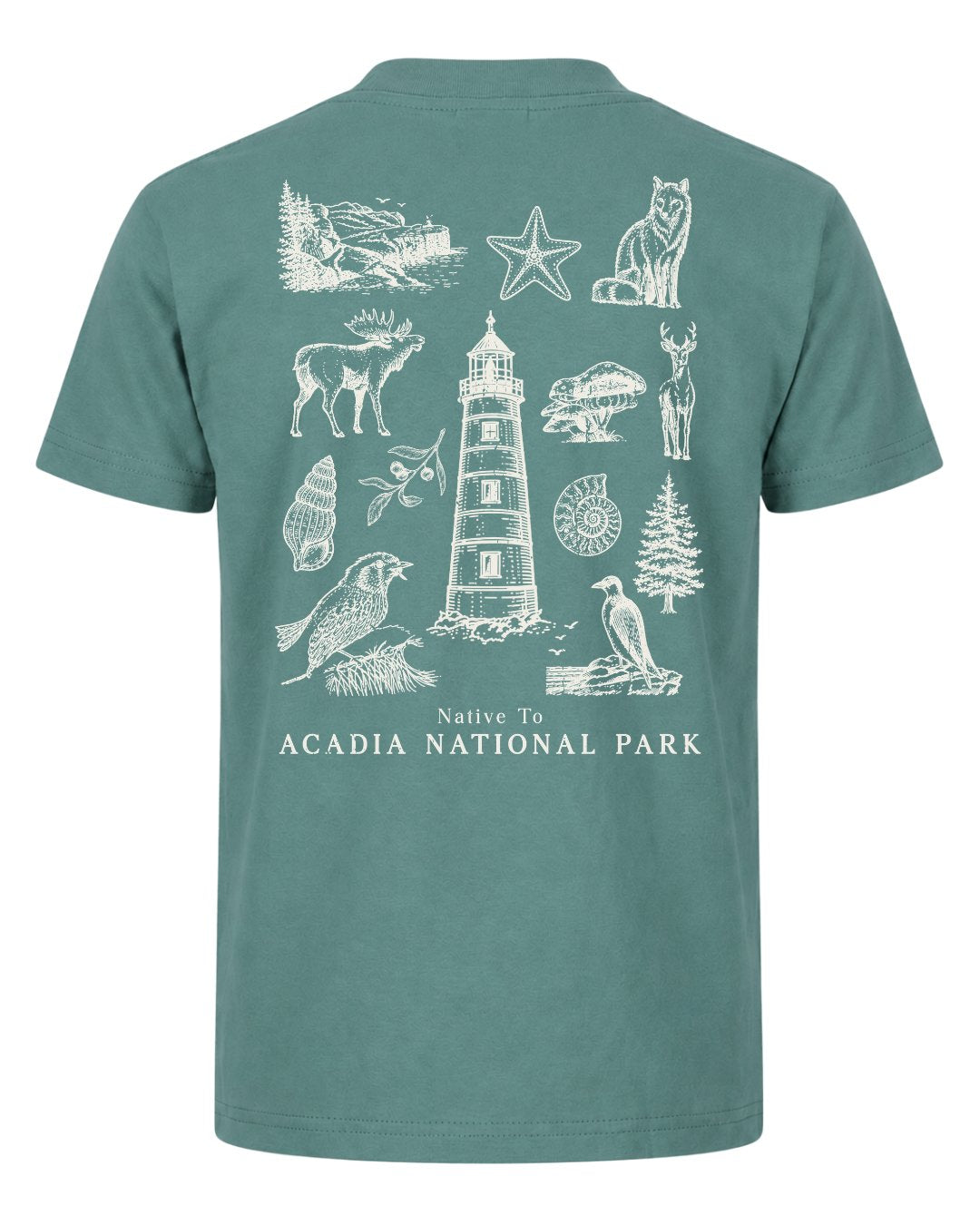 Native To Acadia National Park T-shirt