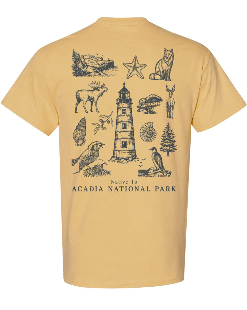 Native To Acadia National Park T-shirt