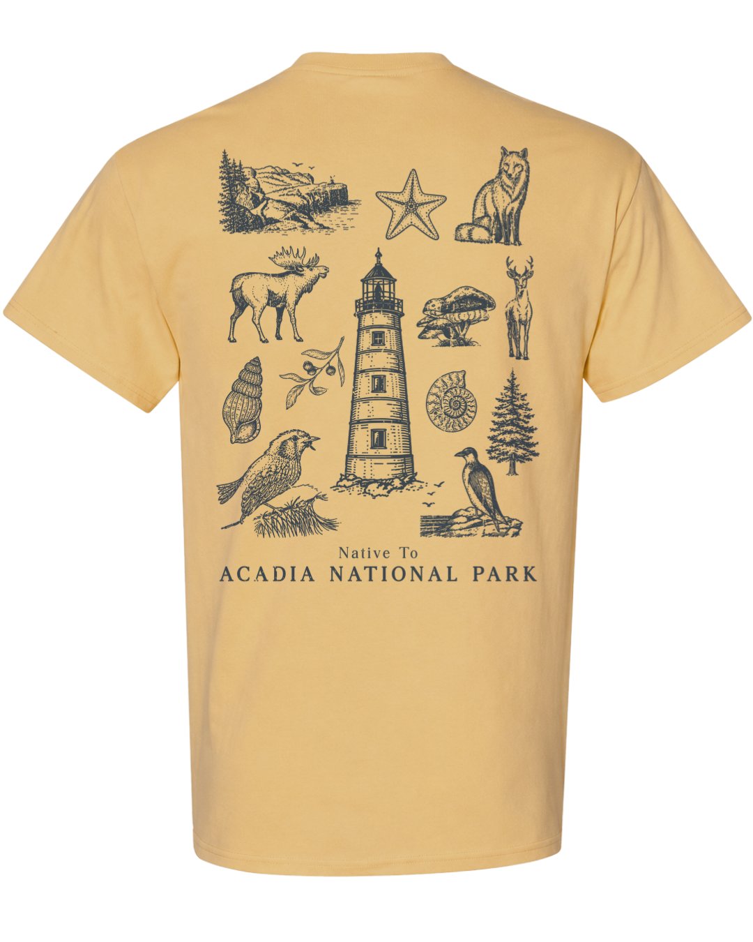 Native To Acadia National Park T-shirt