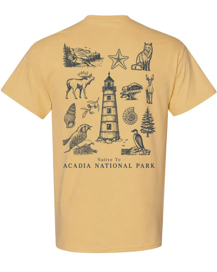 Native To Acadia National Park T-shirt
