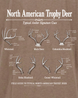 North America Trophy Deer T-shirt