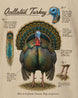 Ocellated Turkey Hunting T-Shirt