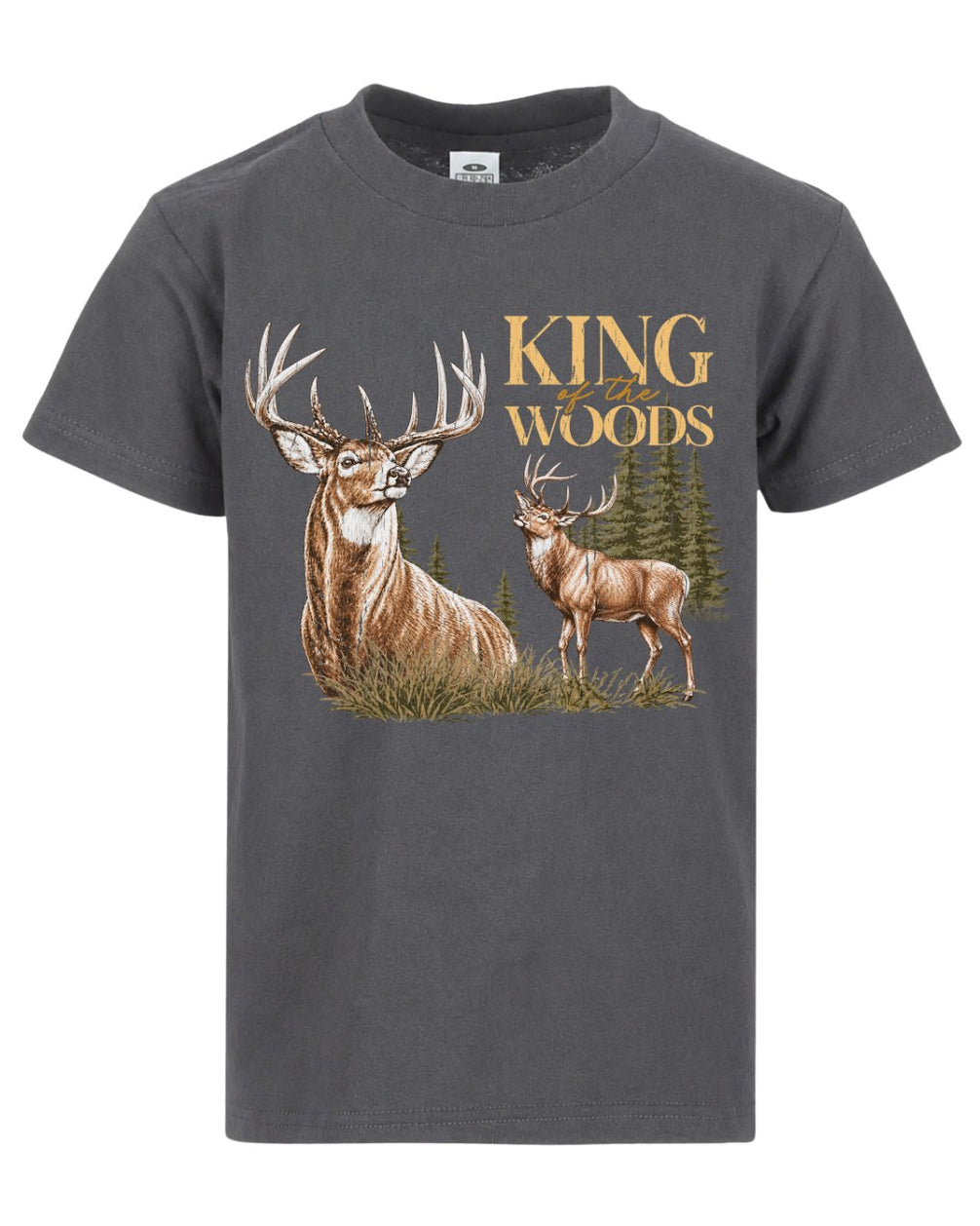 The Buck Stories T-shirt