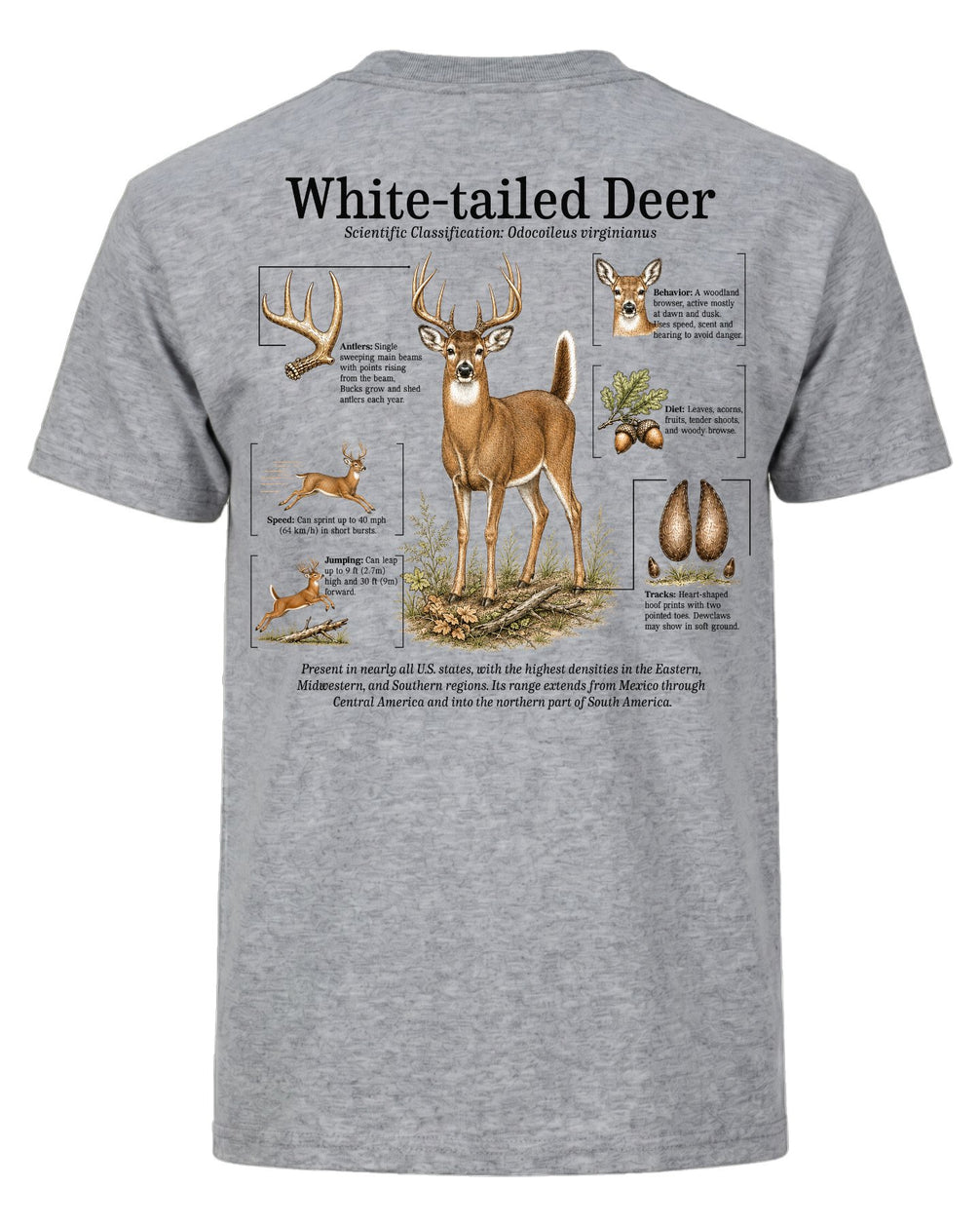 White-tailed Deer Infographic T-shirt