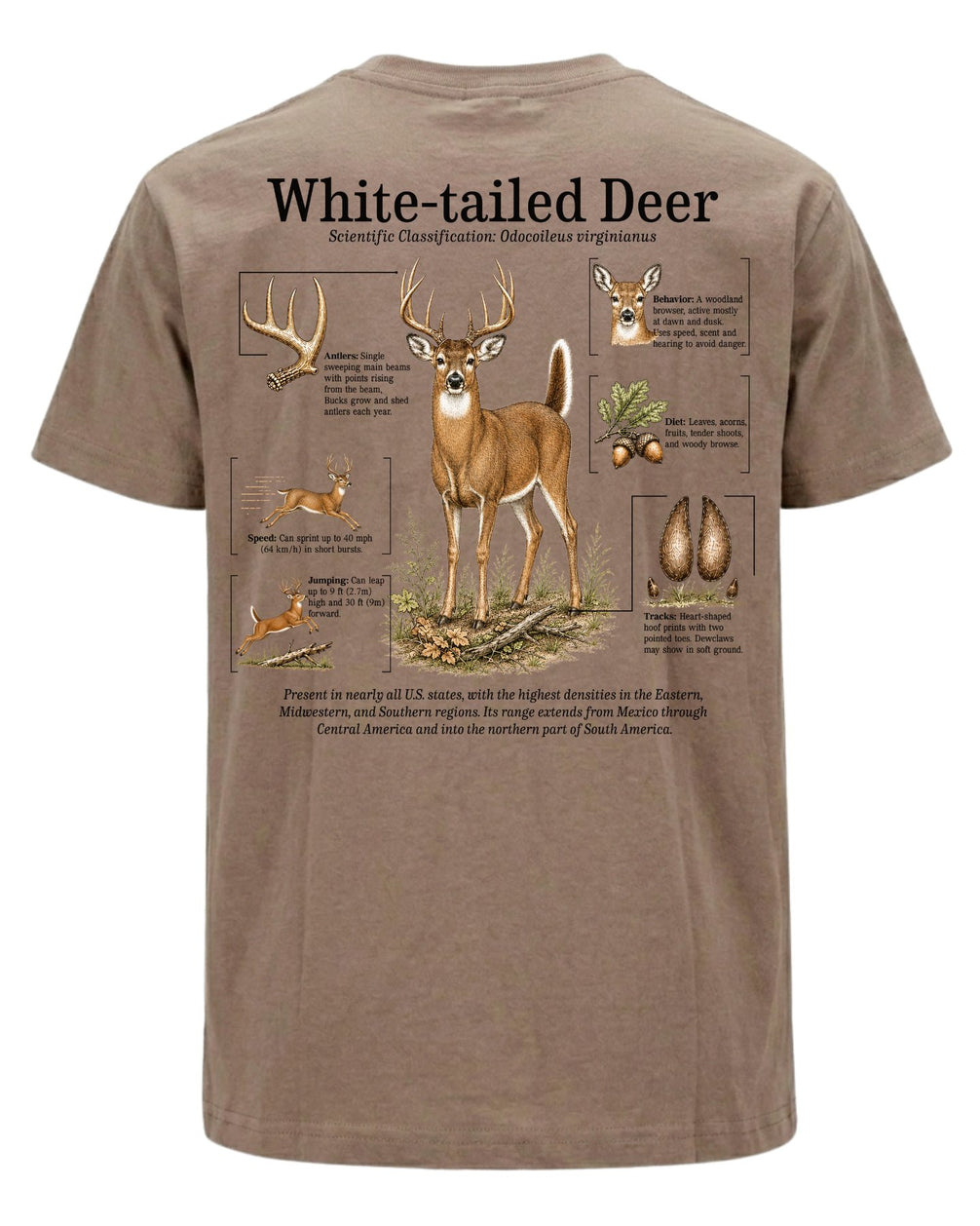 White-tailed Deer Infographic T-shirt