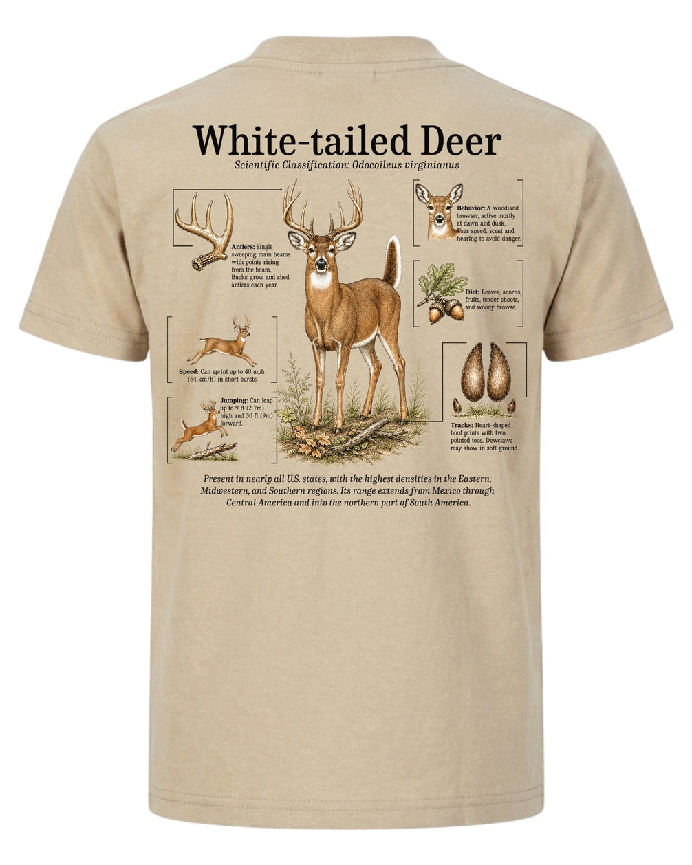 White-tailed Deer Infographic T-shirt