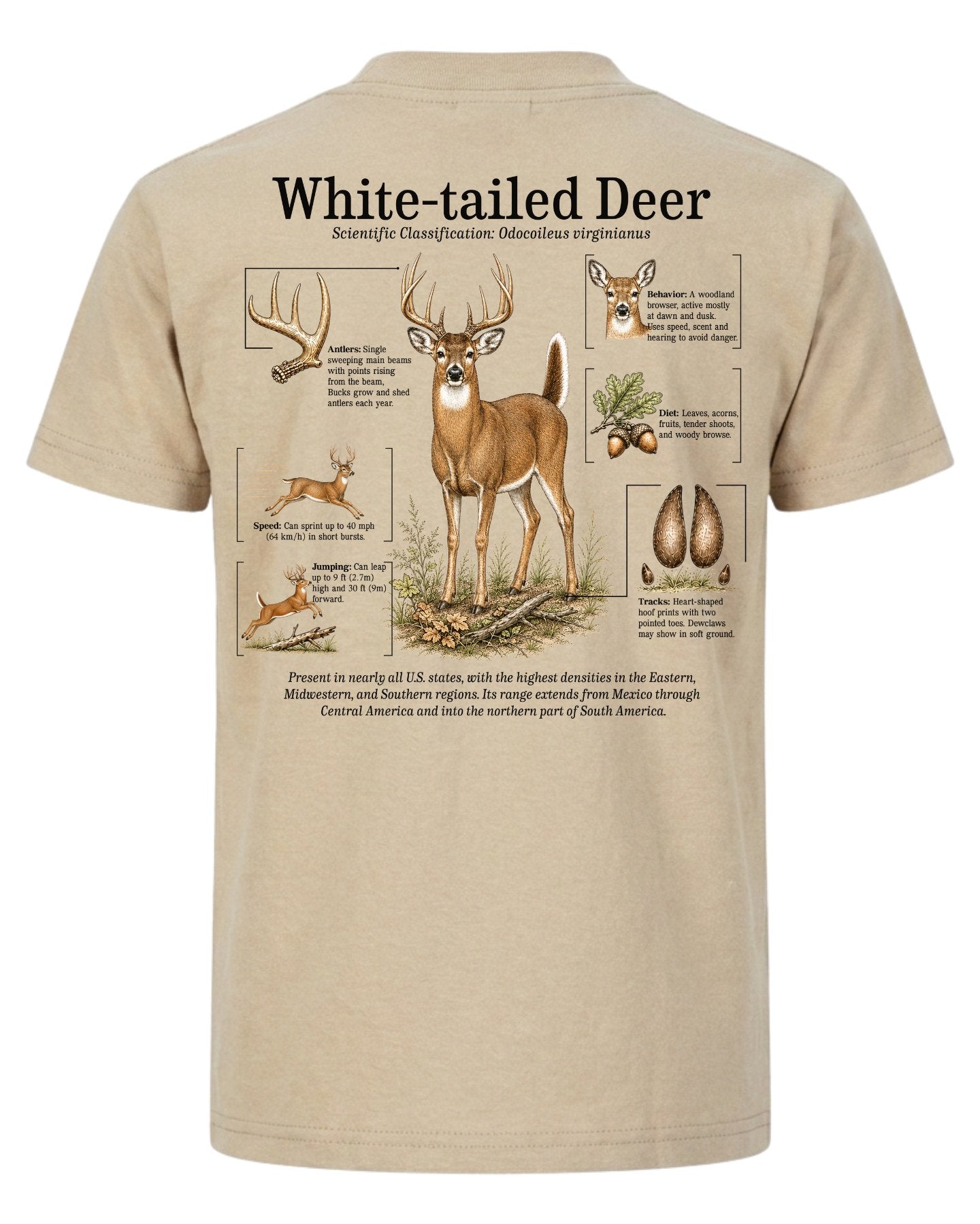 White-tailed Deer Infographic T-shirt
