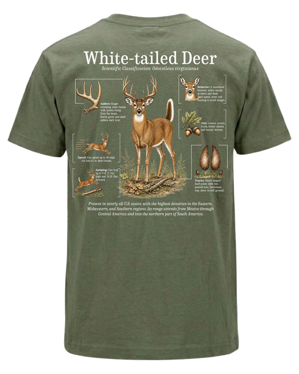 White-tailed Deer Infographic T-shirt