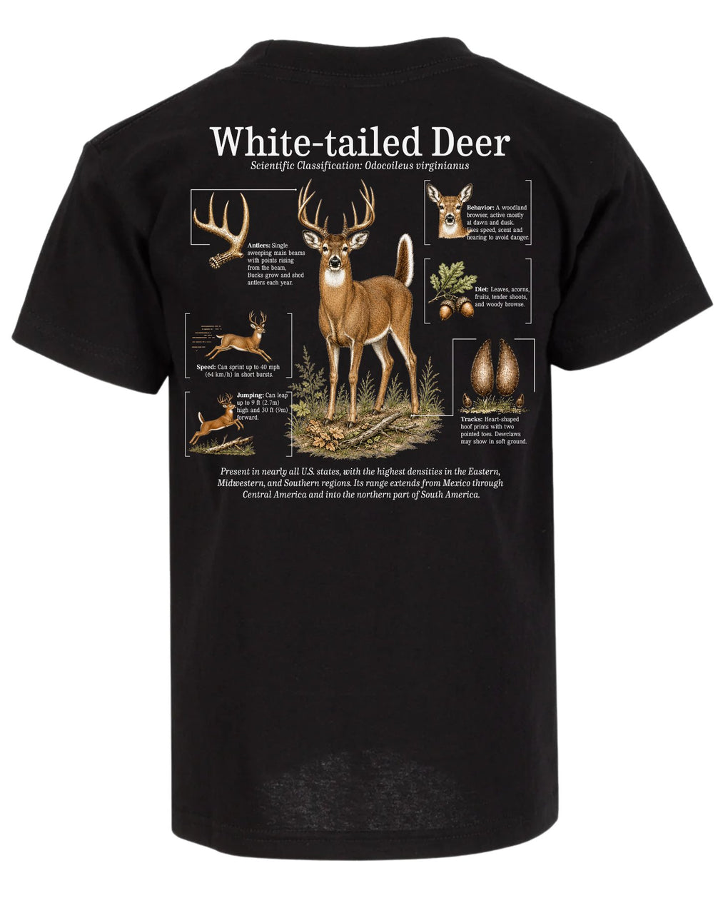 White-tailed Deer Infographic T-shirt