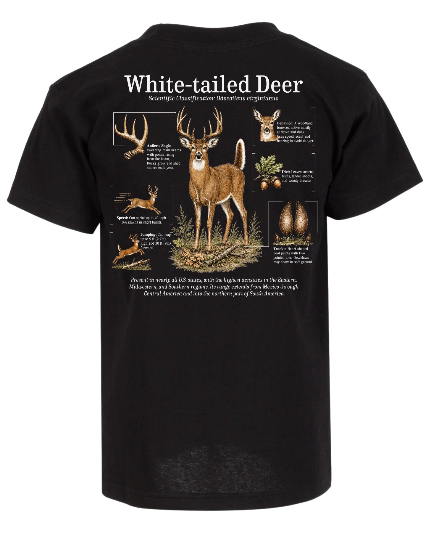 White-tailed Deer Infographic T-shirt