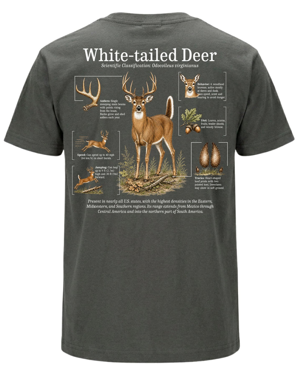 White-tailed Deer Infographic T-shirt