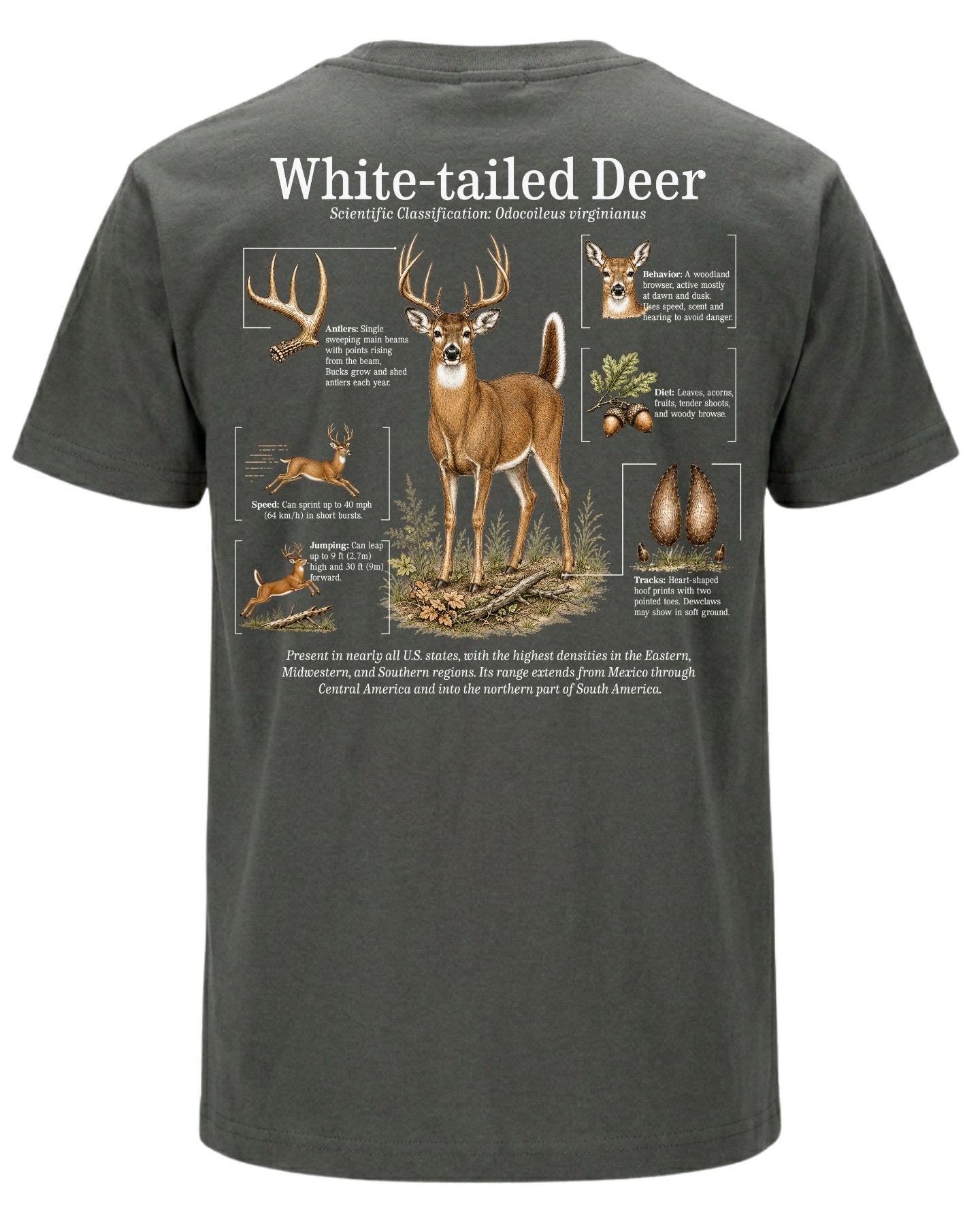 White-tailed Deer Infographic T-shirt