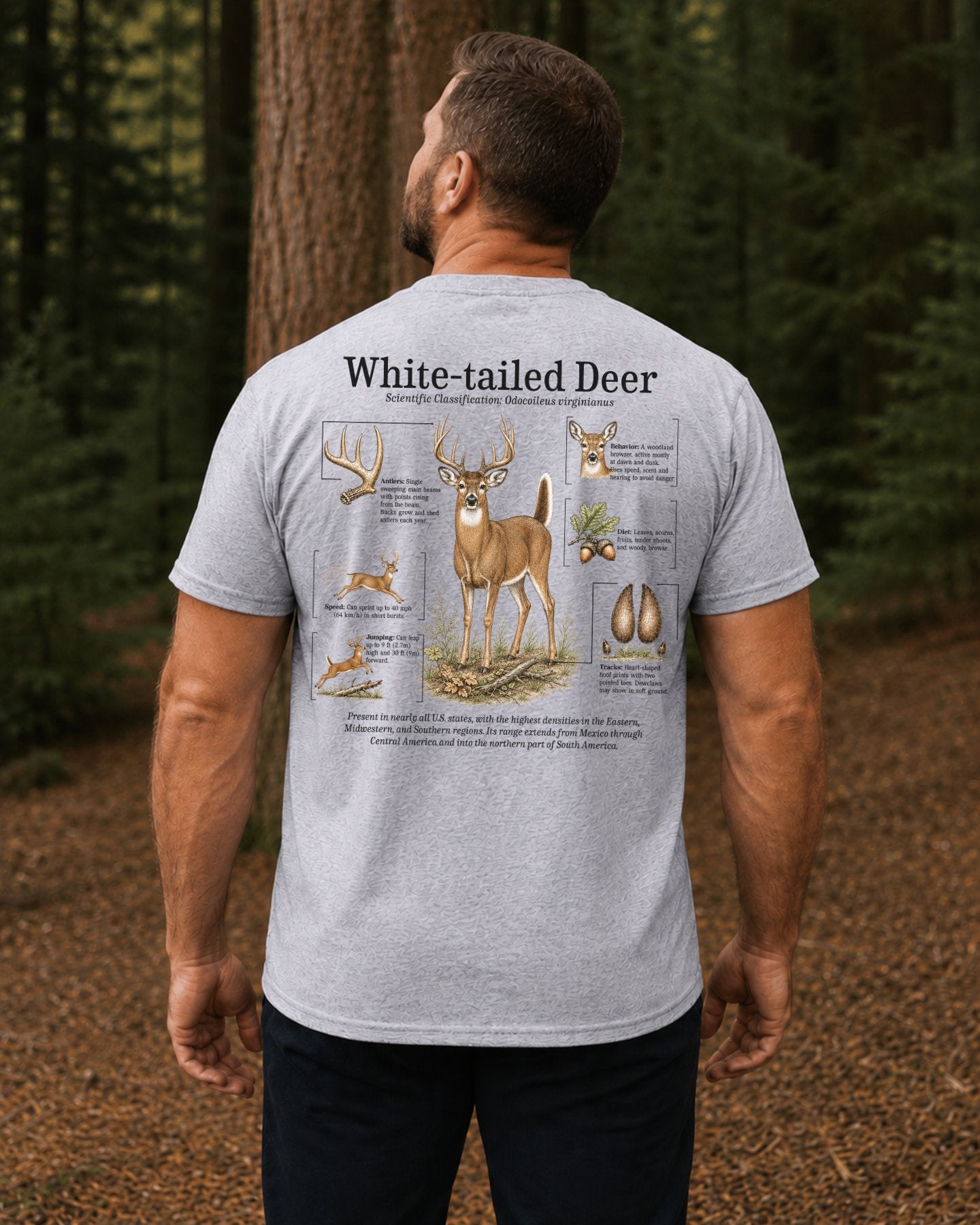 White-tailed Deer Infographic T-shirt